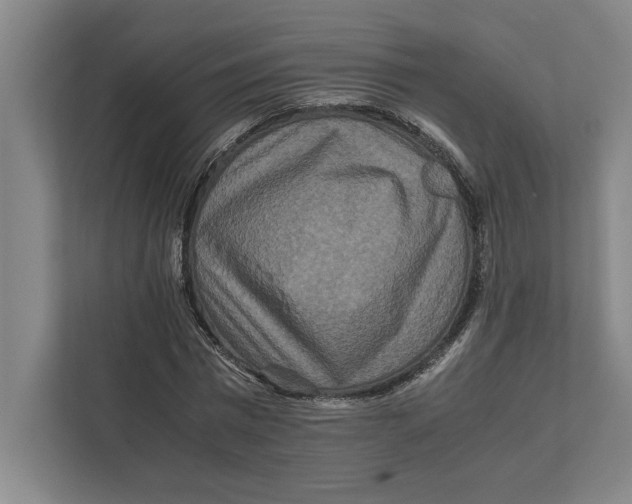 X0000111840777200908201216