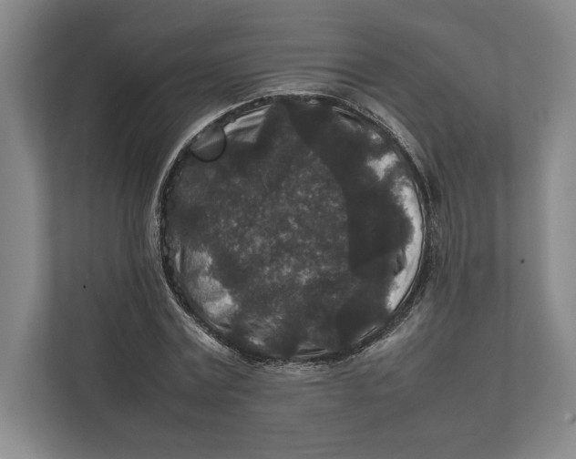 X0000111840779200908201216