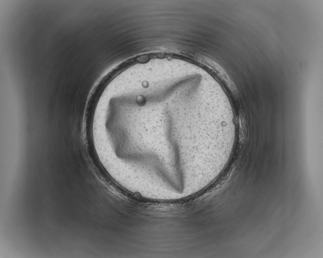 X0000111840780200908201216