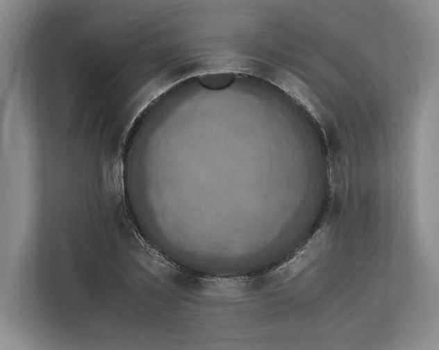 X0000111840781200908201216