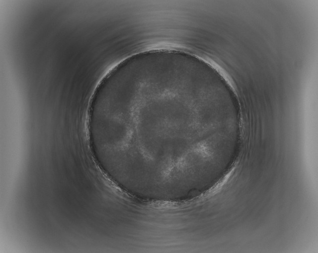 X0000111840783200908201216