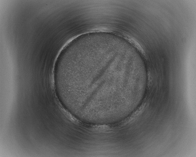 X0000111840784200908201216