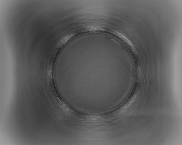 X0000111840785200908201216