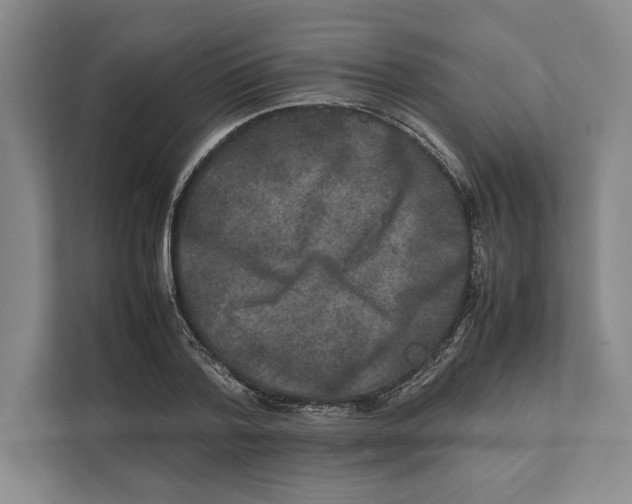 X0000111840788200908201216