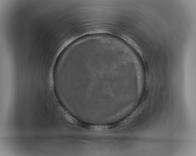 X0000111840789200908201216