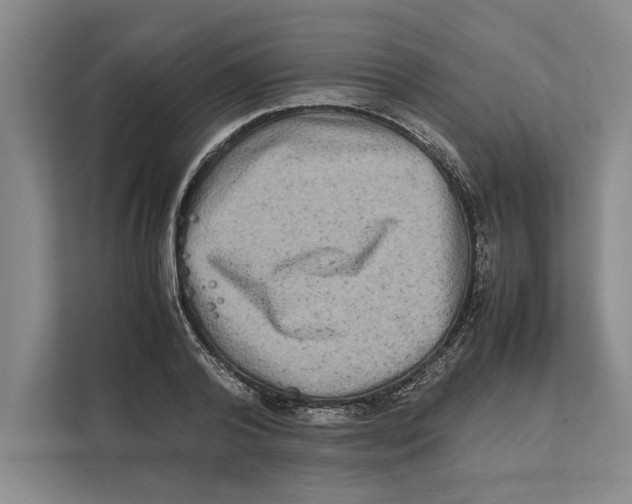 X0000111840792200908201216