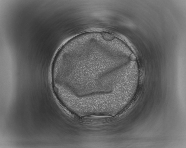 X0000111840795200908201216