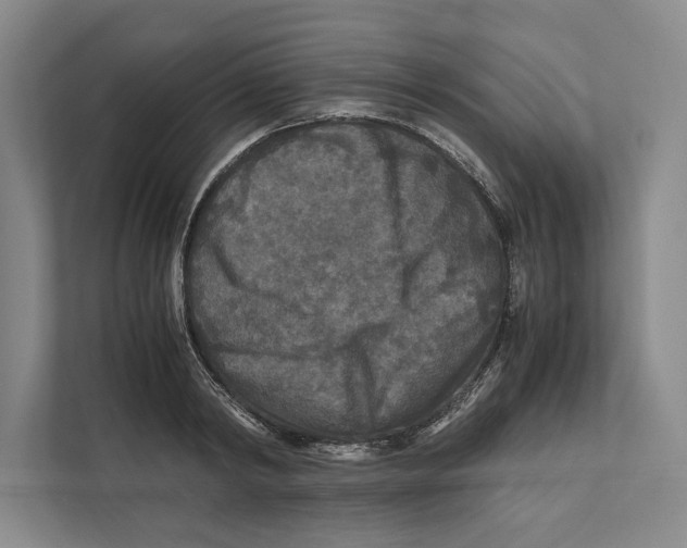 X0000111840798200908201216