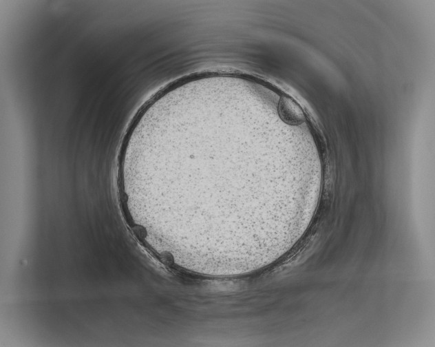 X0000111840799200908201216