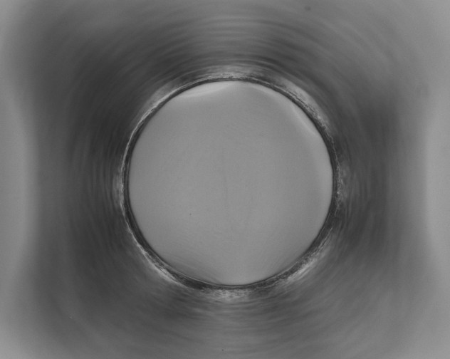 X0000111840802200908201215