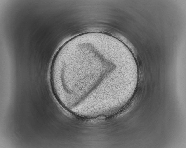 X0000111840803200908201215