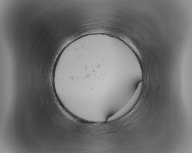 X0000111840805200908201215