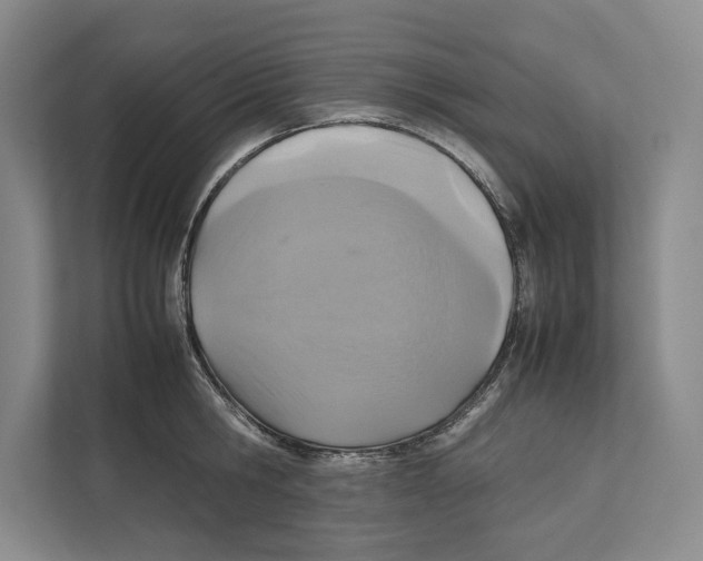 X0000111840806200908201215