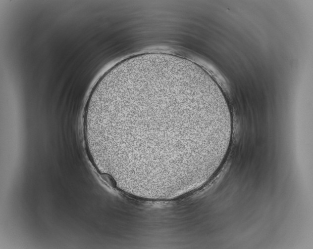 X0000111840808200908201215