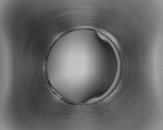 X0000111840809200908201215