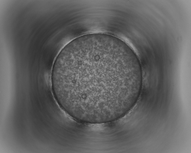 X0000111840810200908201215