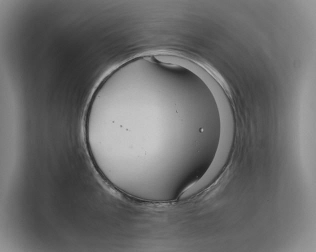 X0000111840813200908201215