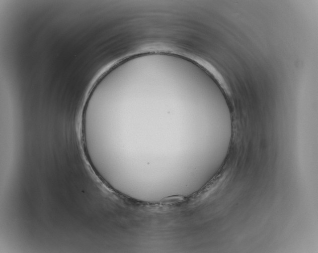 X0000111840815200908201215