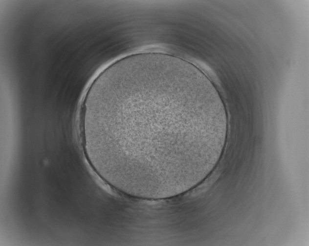 X0000111840816200908201215