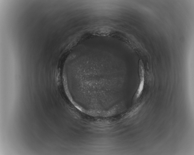 X0000111840818200908201215