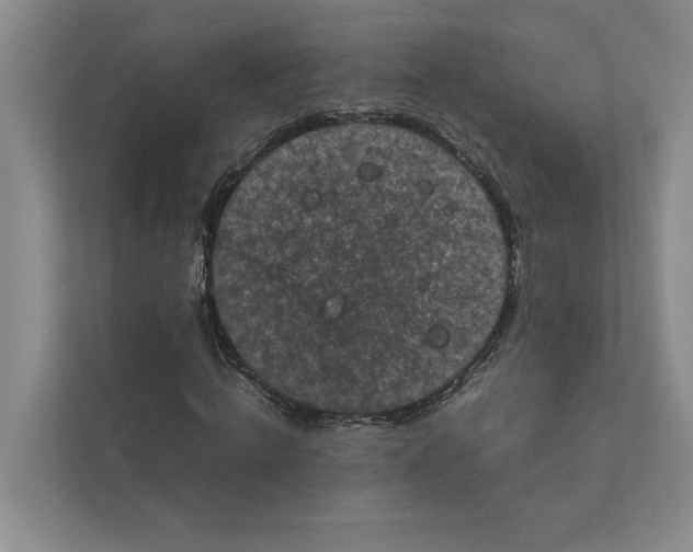 X0000111840820200908201215