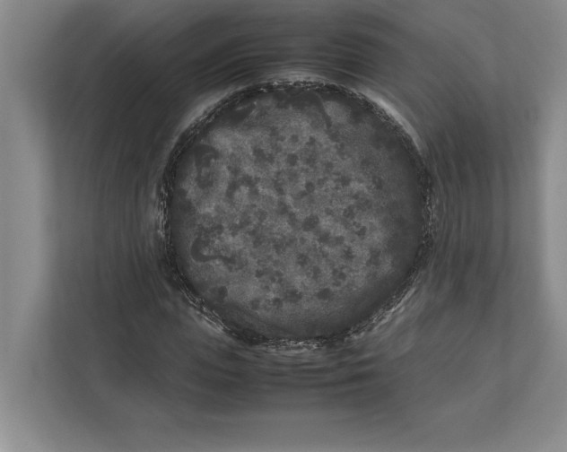 X0000111840823200908201215