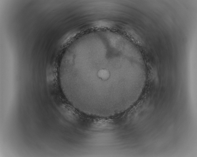 X0000111840824200908201215