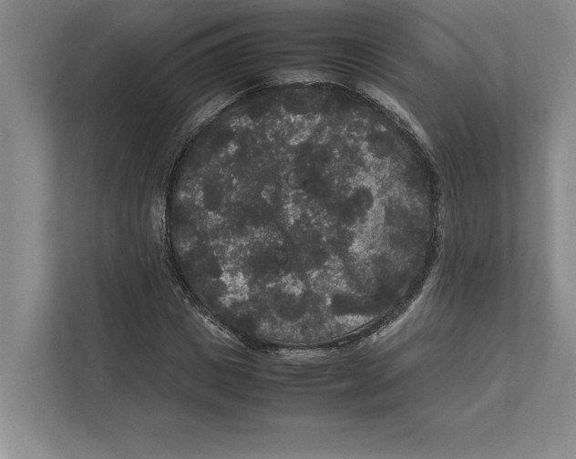 X0000111840825200908201215