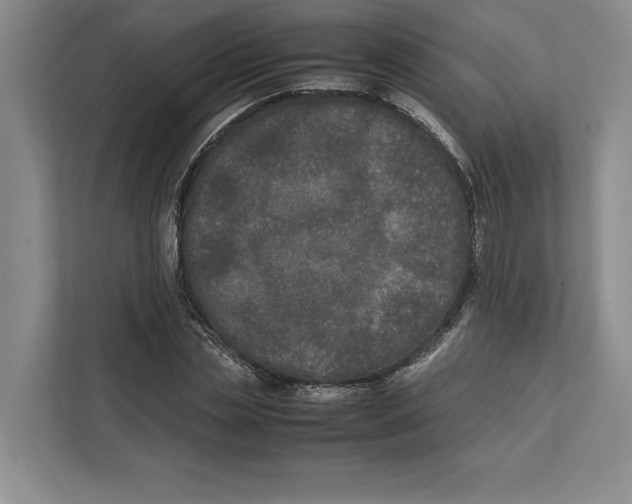 X0000111840829200908201215