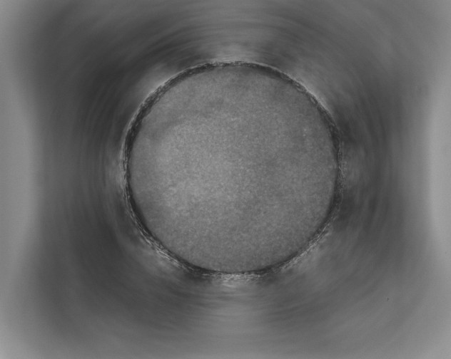 X0000111840832200908201215