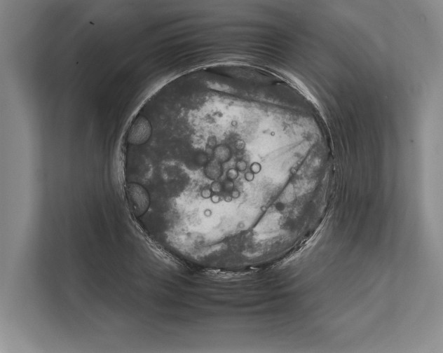 X0000111840835200908201215