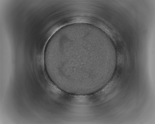 X0000111840836200908201215