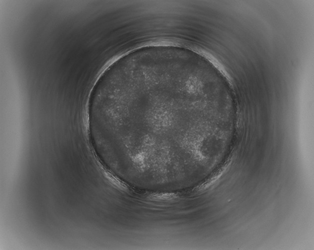 X0000111840837200908201215