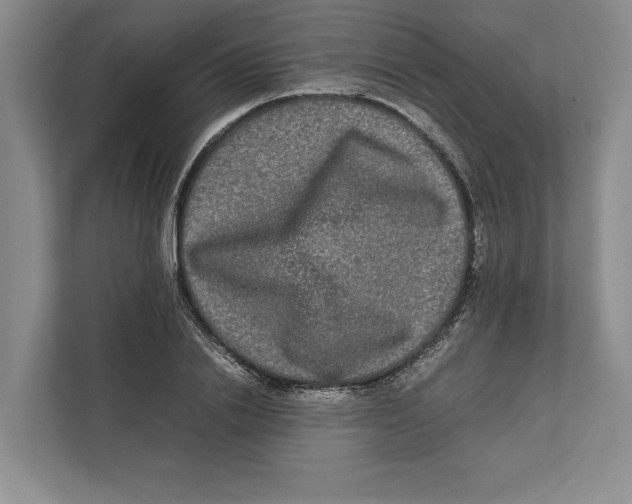 X0000111840838200908201215