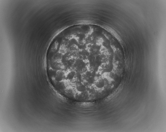 X0000111840839200908201215