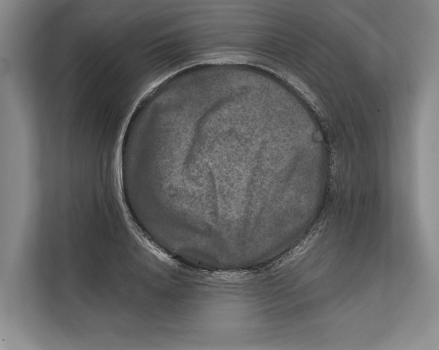 X0000111840840200908201215