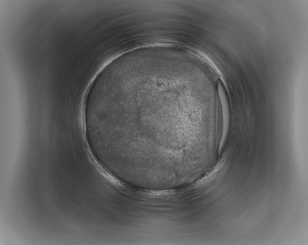 X0000111840843200908201215