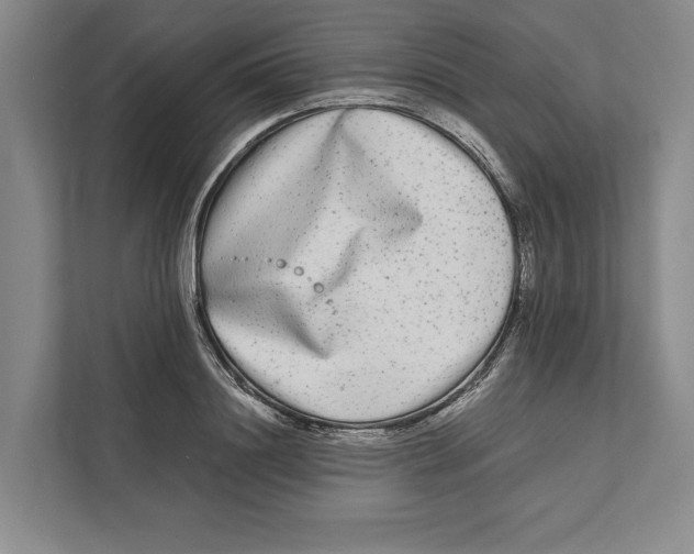 X0000111840844200908201215