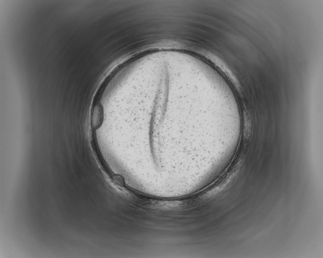 X0000111840845200908201215