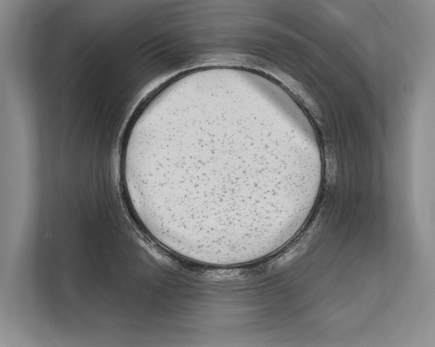 X0000111840846200908201215