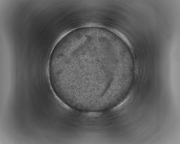 X0000111840847200908201215