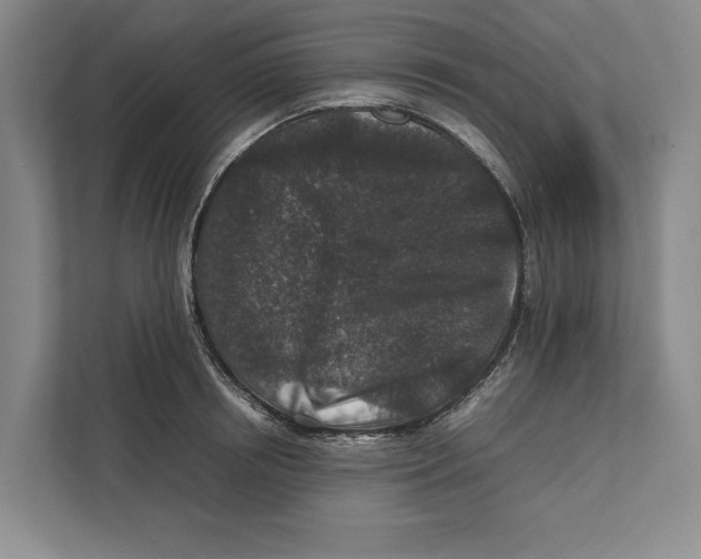 X0000111840850200908201215