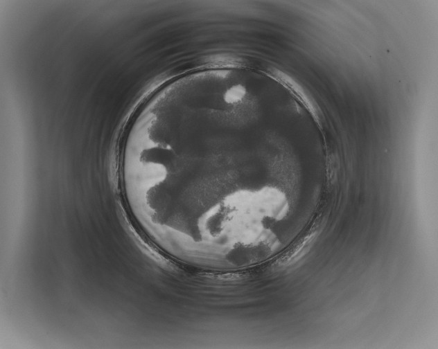 X0000111840851200908201215