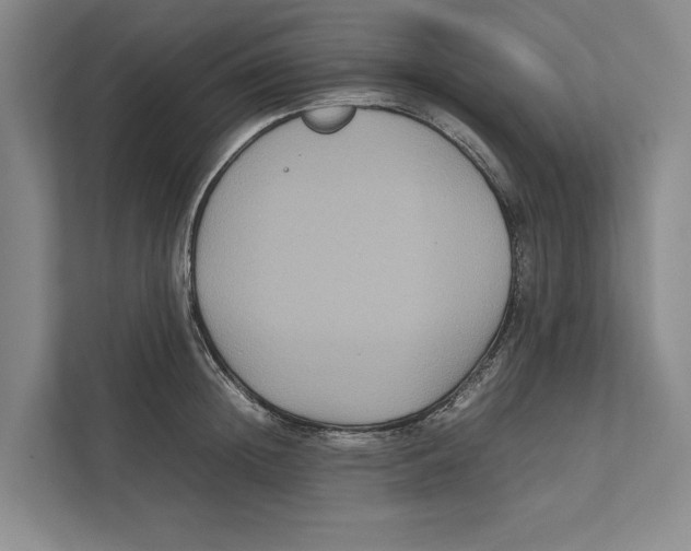 X0000111840852200908201215