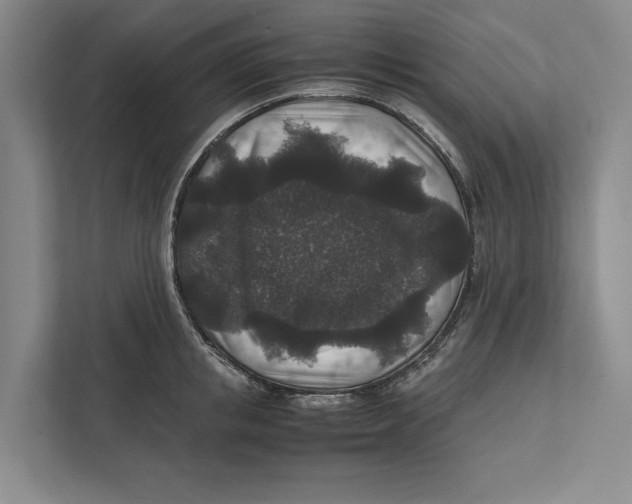 X0000111840853200908201215