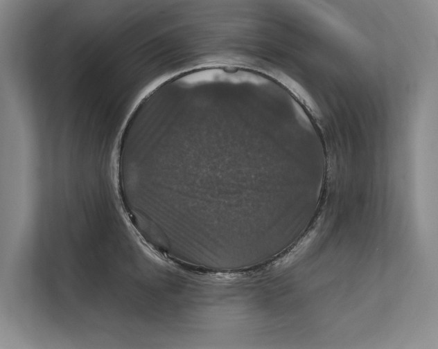 X0000111840854200908201215