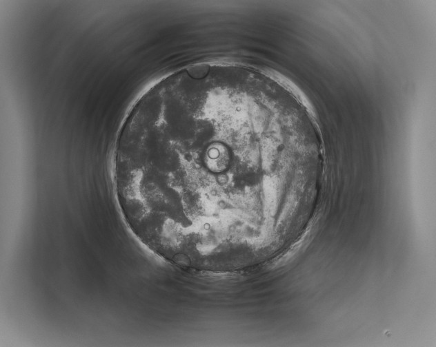 X0000111840855200908201215