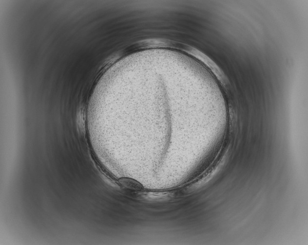 X0000111840857200908201215