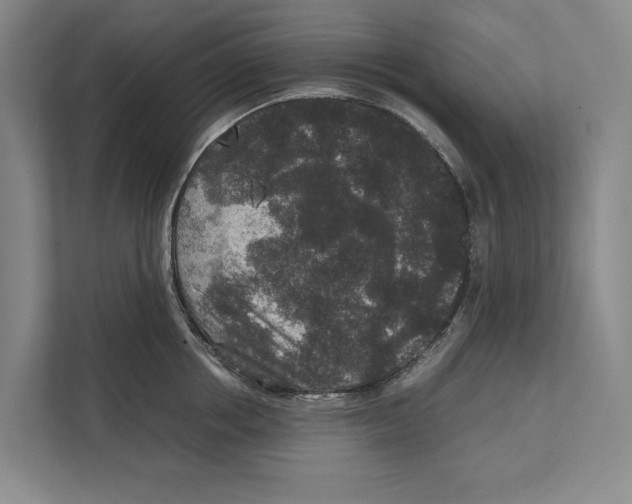 X0000111840858200908201215