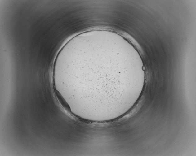 X0000111840860200908201215